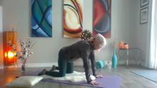 Yoga Beginner Postures